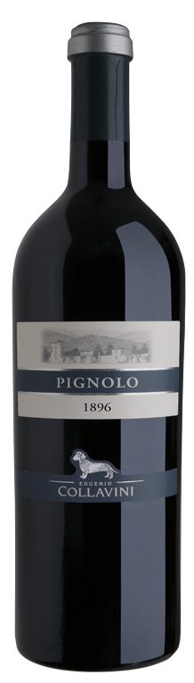 Pignolo