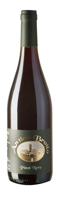 Pinot Nero
