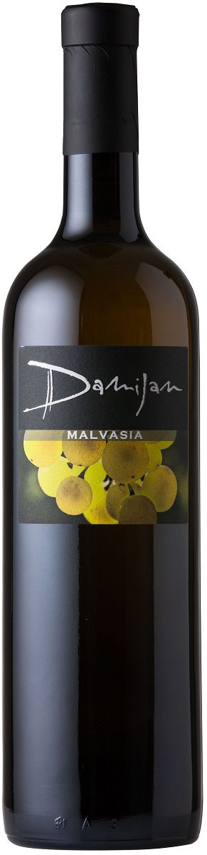 Malvasia