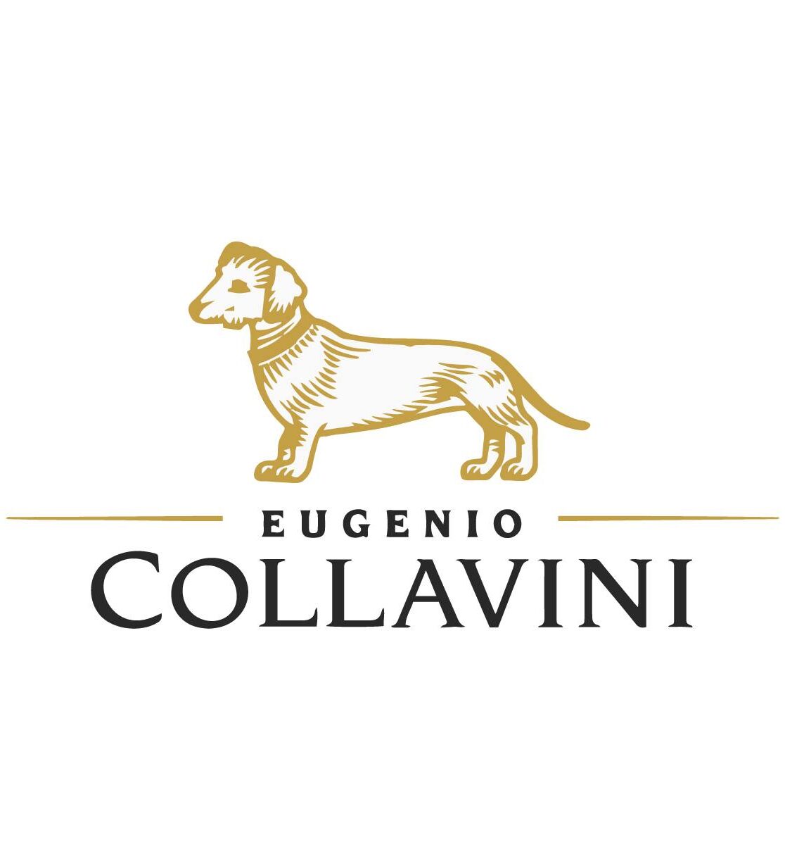 Marchio: Collavini Marchio: Collavini