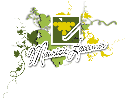 Marchio: Maurizio Zaccomer Marchio: Maurizio Zaccomer