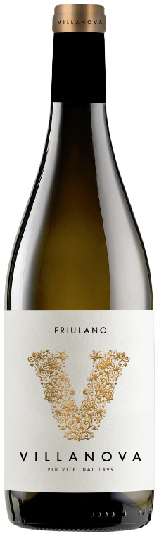 Friulano Collio
