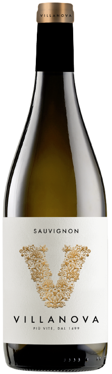 Sauvignon Collio